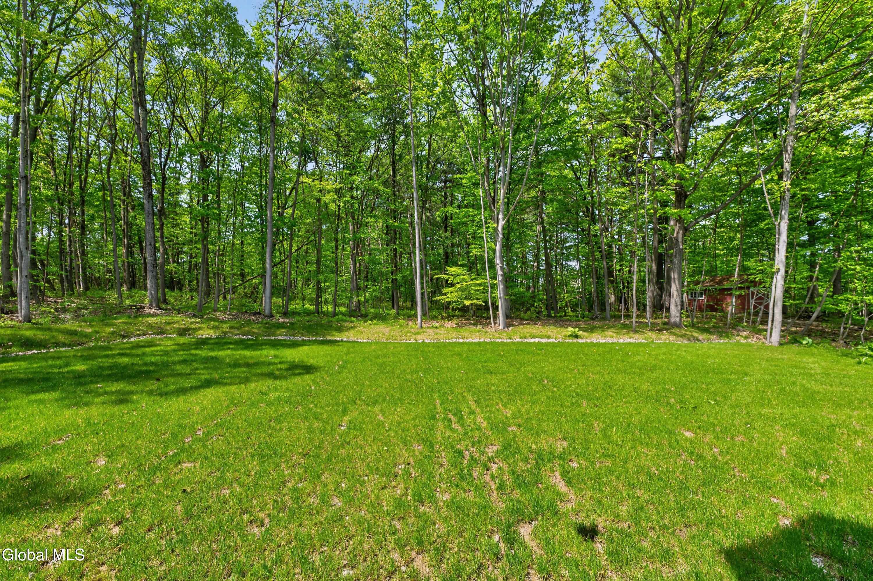 70 Smith Road Halfmoon, NY 12118 - Photo 48 of 61 Yard 11