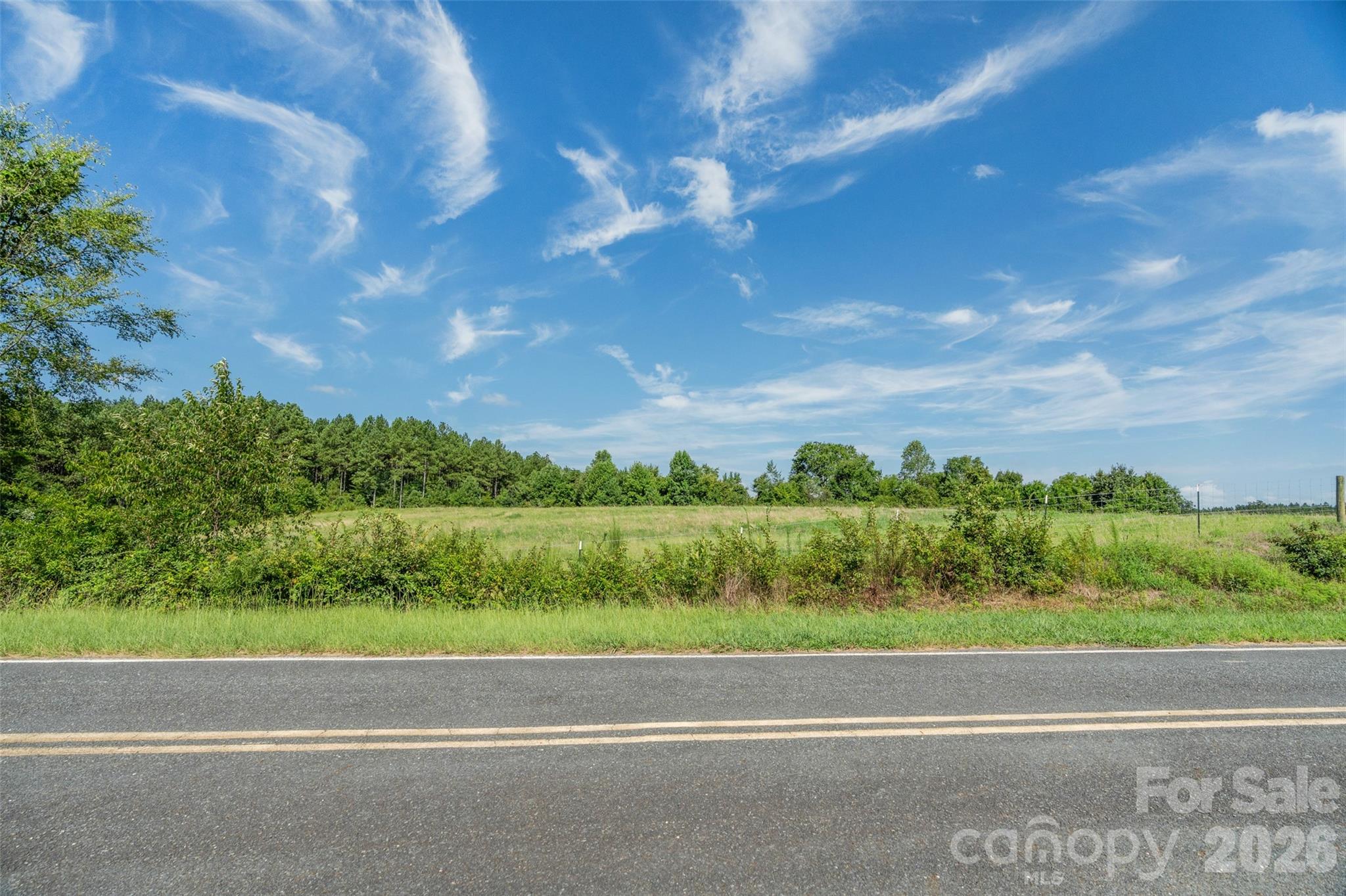 0 Lucy Short Cut Road, Unit A Marshville, NC 28103 - Photo 17 of 23 a view of a yard