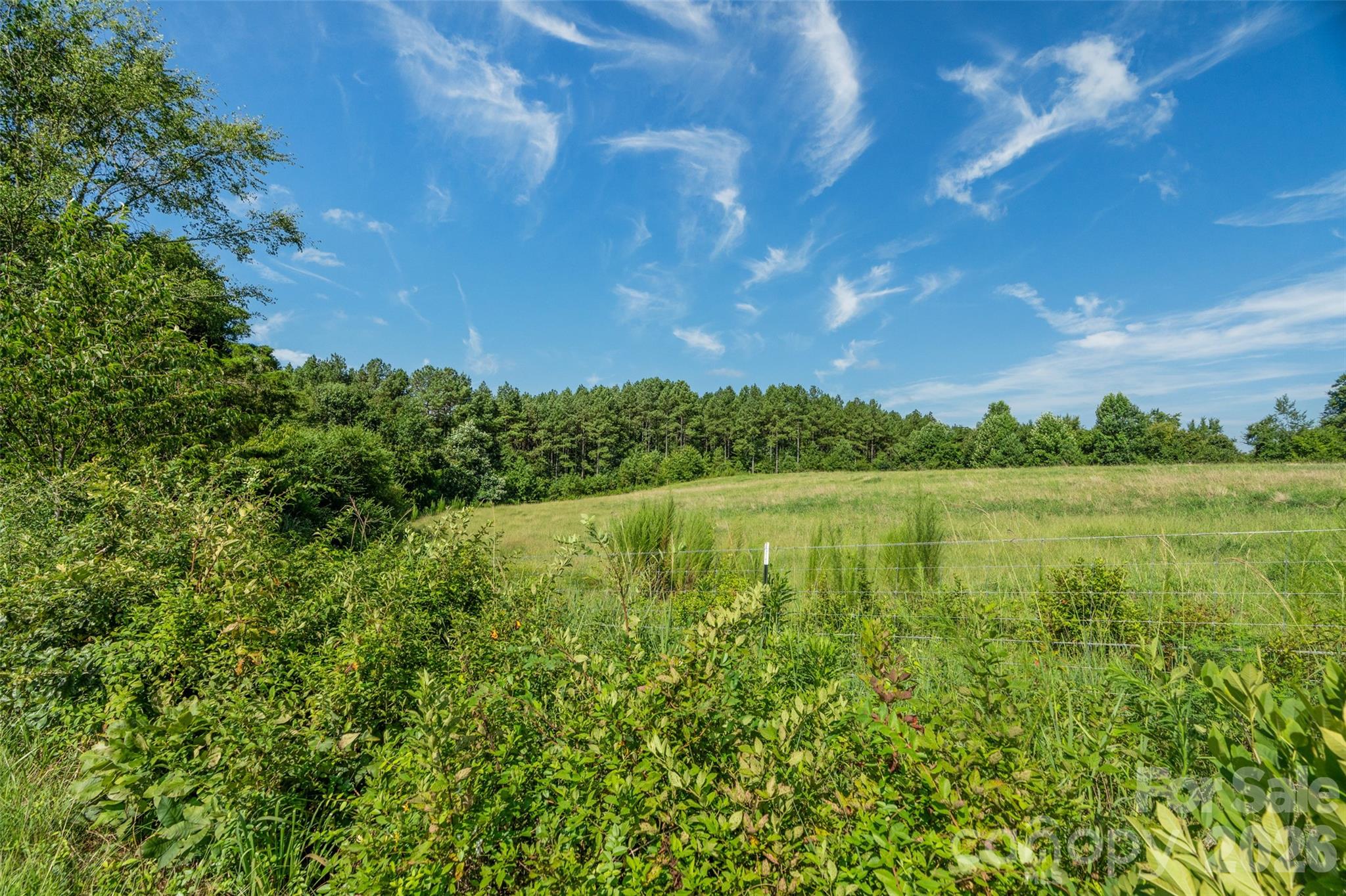0 Lucy Short Cut Road, Unit A Marshville, NC 28103 - Photo 18 of 23 a view of lake with green space