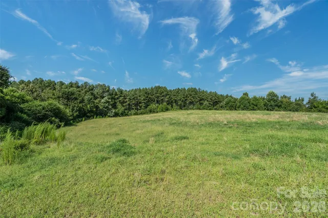 a view of a field of grass and trees