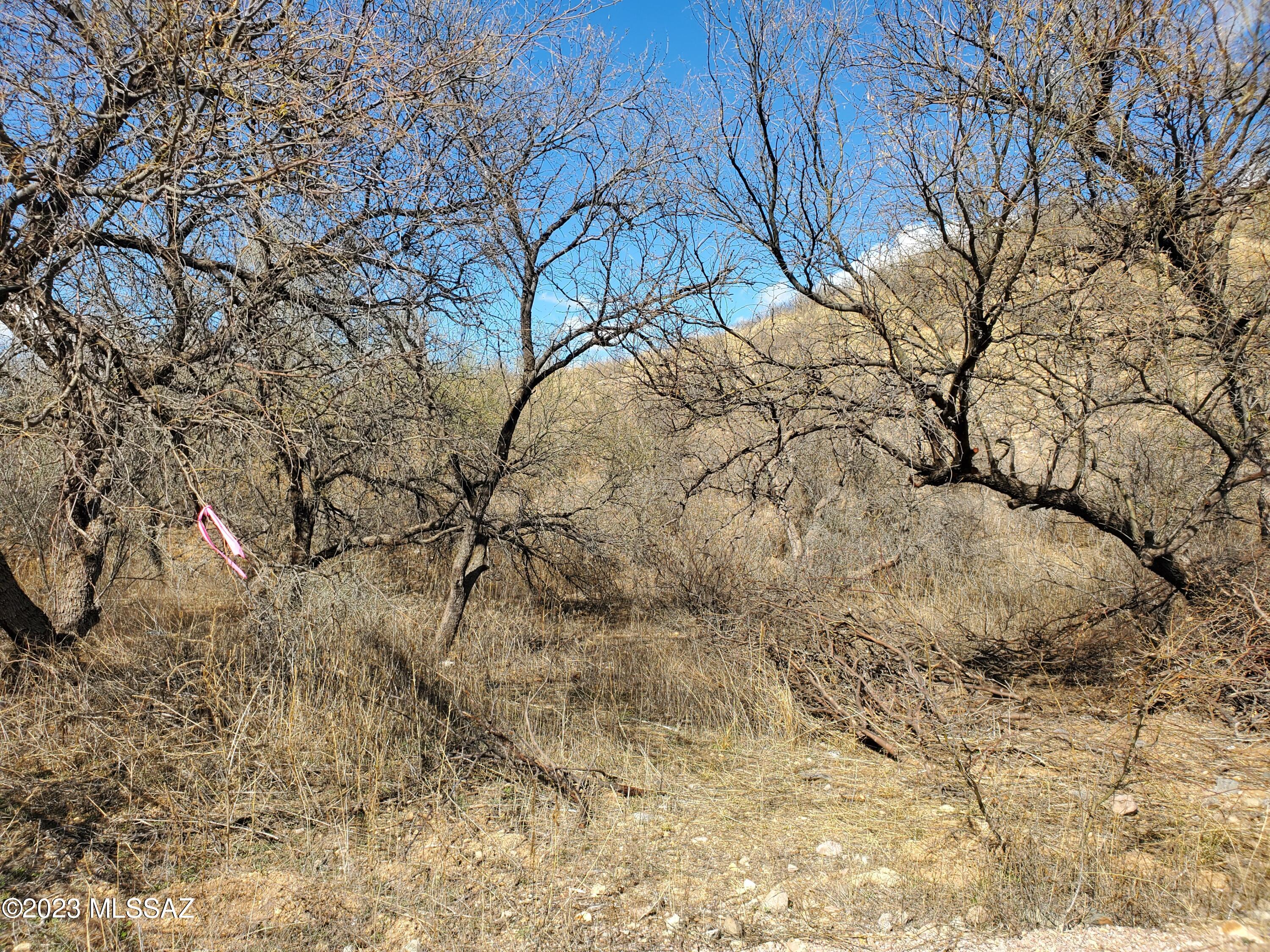 232 Just Court, Unit 11 Rio Rico, AZ 85648 - Photo 6 of 8