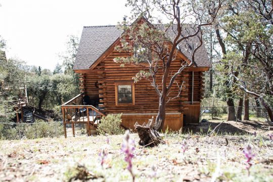 27818 Saunders Meadow Road Idyllwild, CA 92549 - Photo 41 of 46 Saunders Meadow
