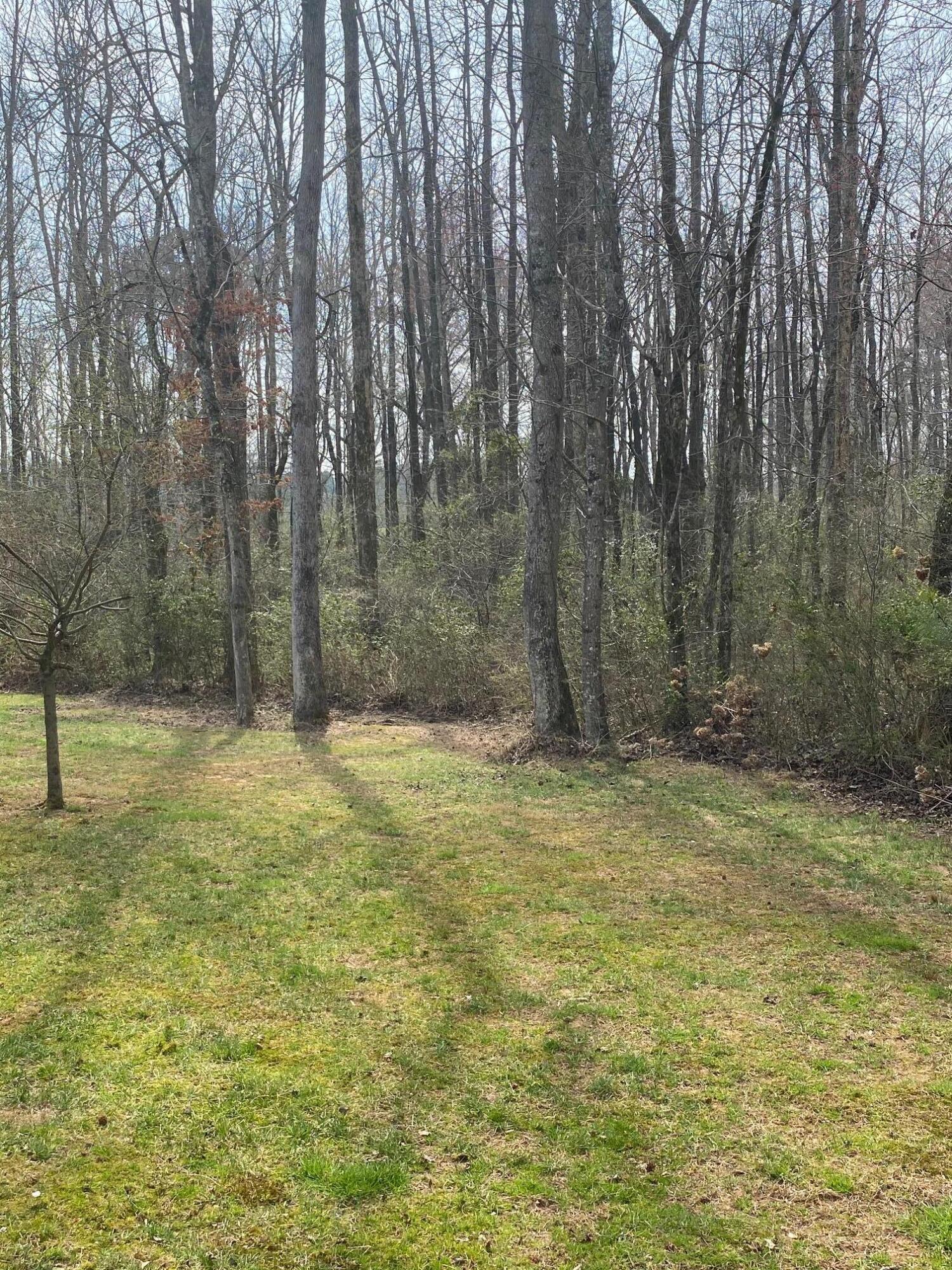 4433 Hope Ranch Drive Apison, TN 37302 - Photo 3 of 3 IMG_0782