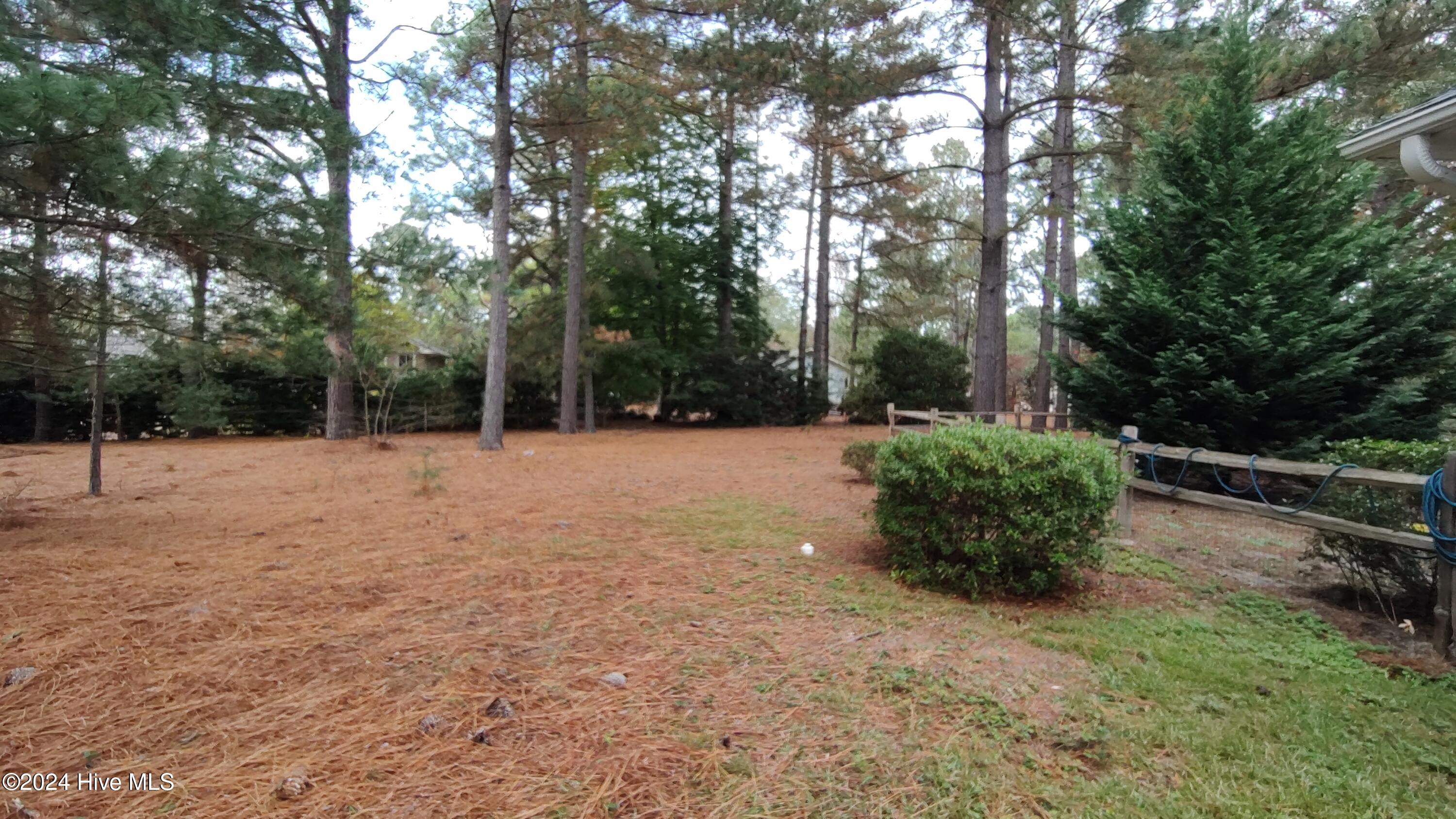 114 Sandy Ridge Road West End, NC 27376 - Photo 46 of 69 Side Yard