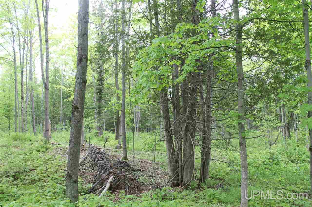 Tbd Off Kyllonen Road, Unit LAT 46 75685 LON 88 7526 Nisula, MI 49952 - Photo 13 of 24