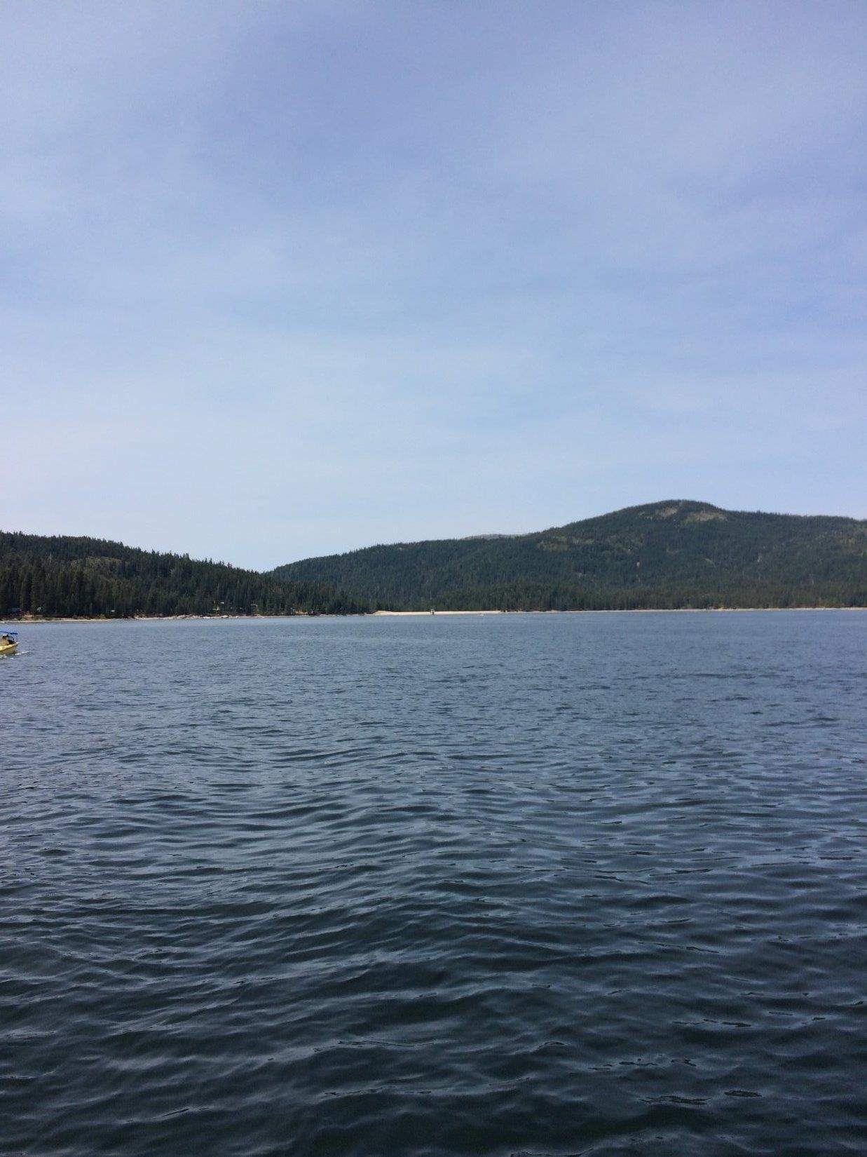 822 Mile High Road Bucks Lake, CA 95971 - Photo 8 of 8