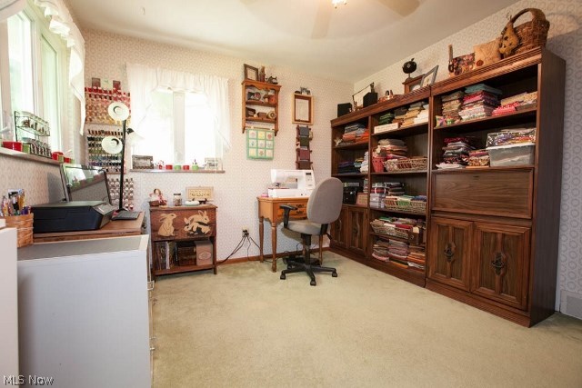 12809 Webster Road Strongsville, OH 44136 - Photo 17 of 35 Gallery Image 17