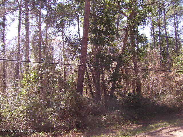 83 Sorrel Street Middleburg, FL 32068 - Photo 1 of 8 a view of a forest with trees in the background