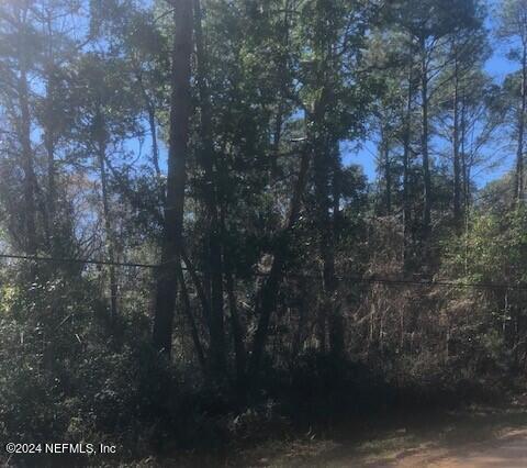 83 Sorrel Street Middleburg, FL 32068 - Photo 2 of 8 a view of forest