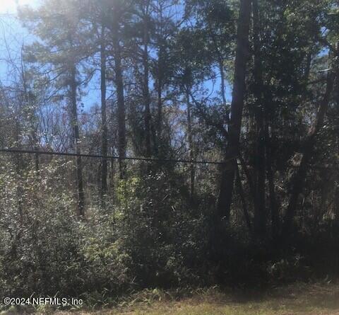 83 Sorrel Street Middleburg, FL 32068 - Photo 5 of 8 a view of a forest