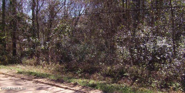 83 Sorrel Street Middleburg, FL 32068 - Photo 6 of 8 a view of a forest