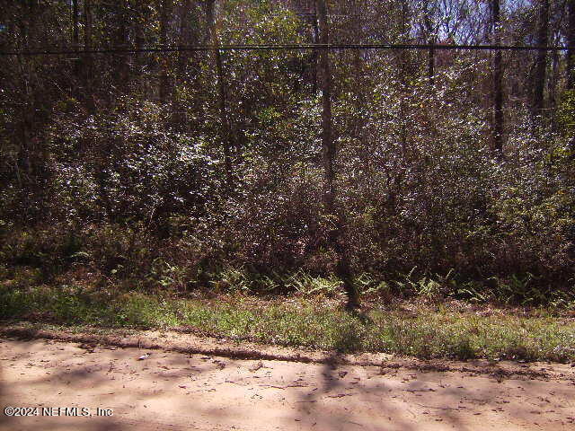 83 Sorrel Street Middleburg, FL 32068 - Photo 7 of 8 a view of a yard