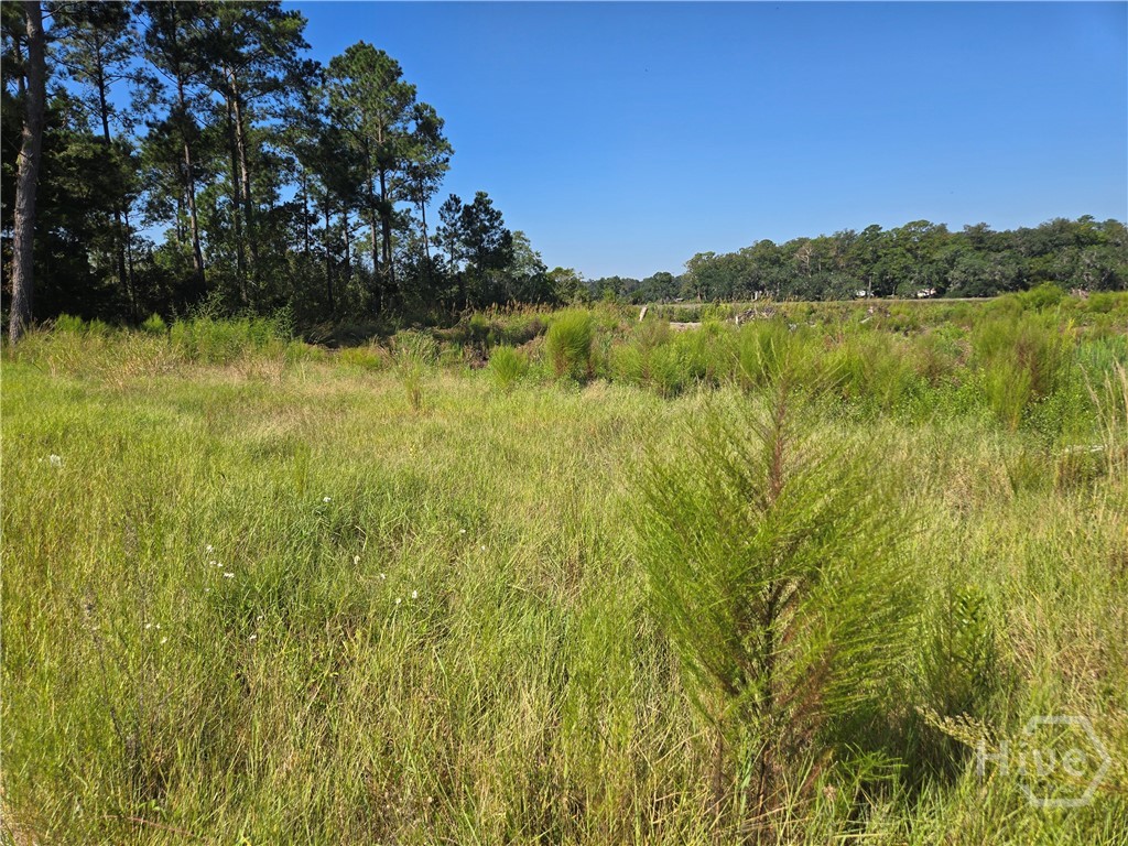 0 River Road Midway, GA 31320 - Photo 13 of 29