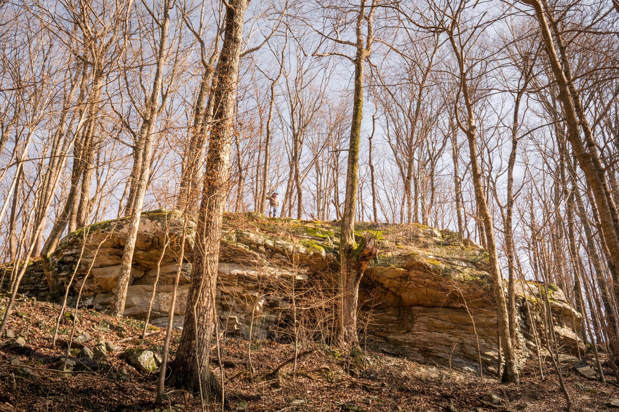 0 Deer Run Road Altamont, TN 37301 - Photo 14 of 47 Gallery Image 14