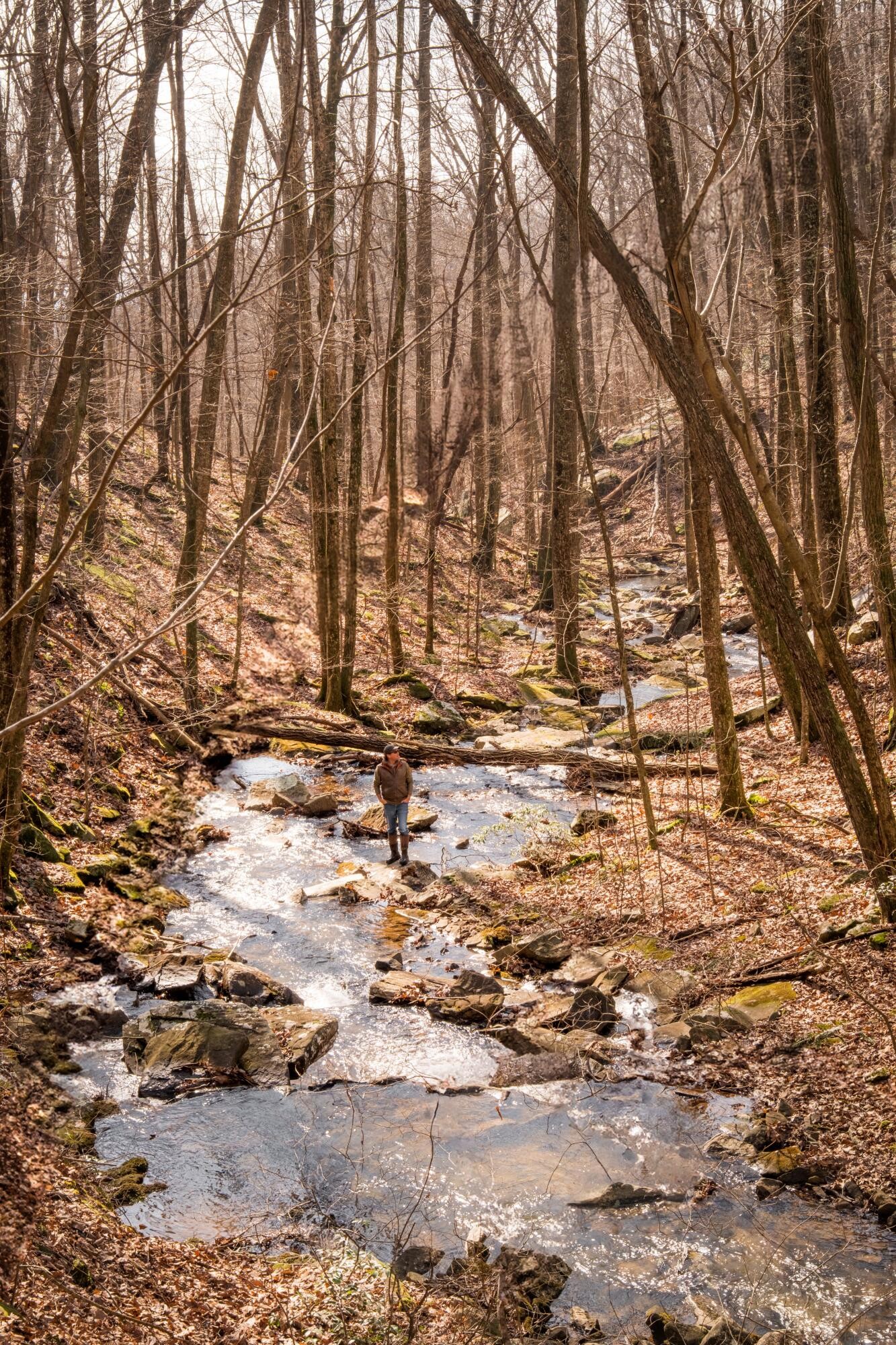 0 Deer Run Road Altamont, TN 37301 - Photo 21 of 47 Gallery Image 21