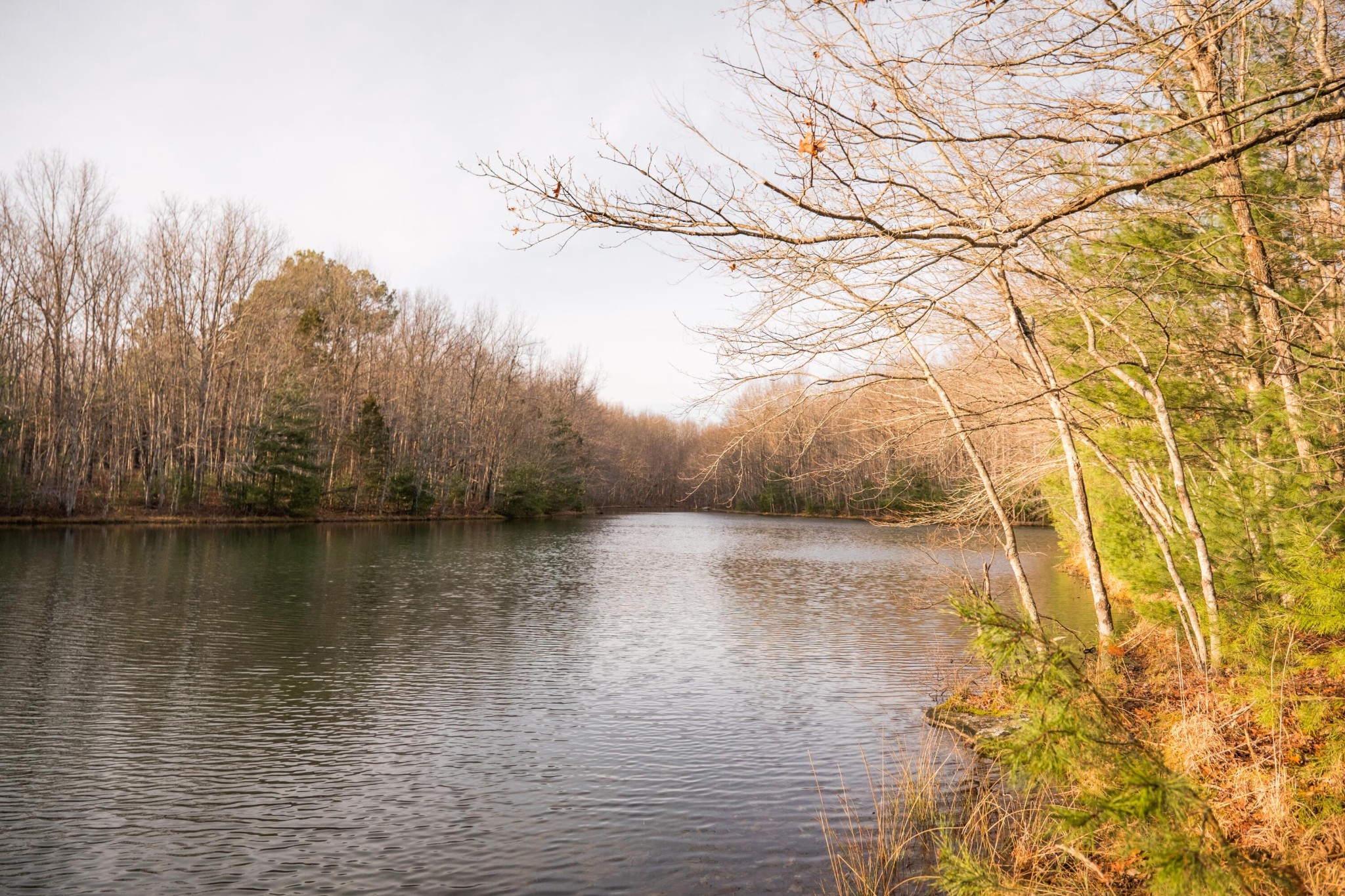 0 Deer Run Road Altamont, TN 37301 - Photo 22 of 47 Gallery Image 22