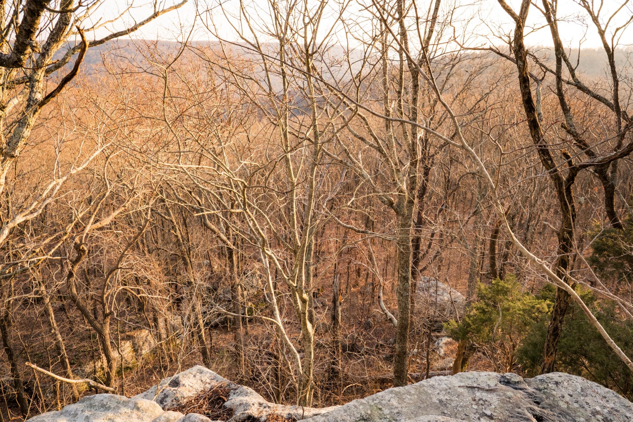 0 Deer Run Road Altamont, TN 37301 - Photo 25 of 47 Gallery Image 25