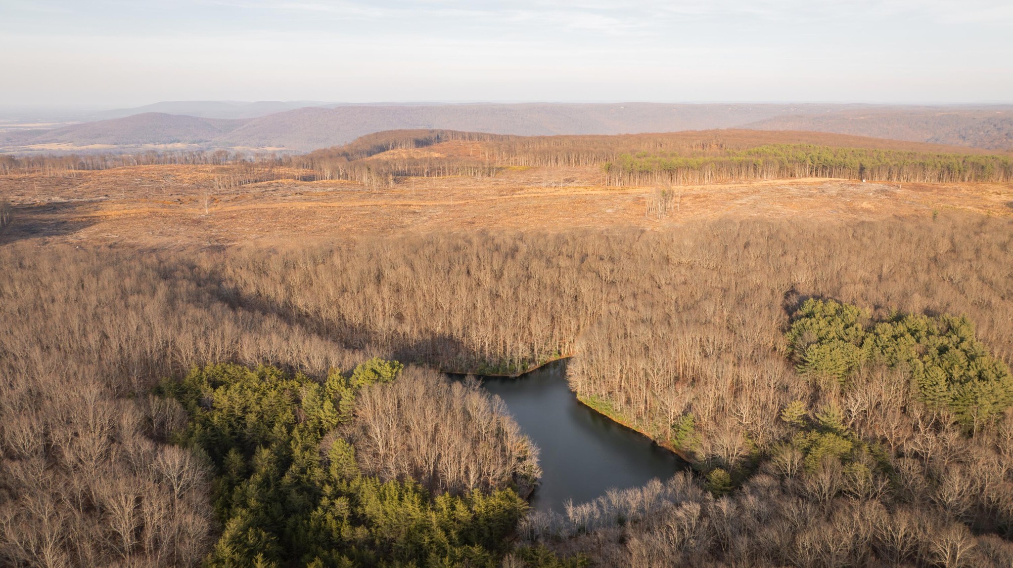 0 Deer Run Road Altamont, TN 37301 - Photo 31 of 47 Gallery Image 31