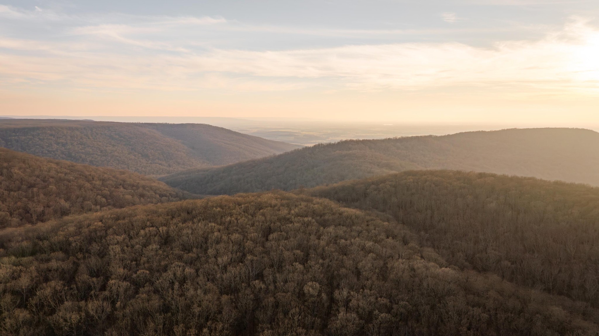 0 Deer Run Road Altamont, TN 37301 - Photo 33 of 47 Gallery Image 33