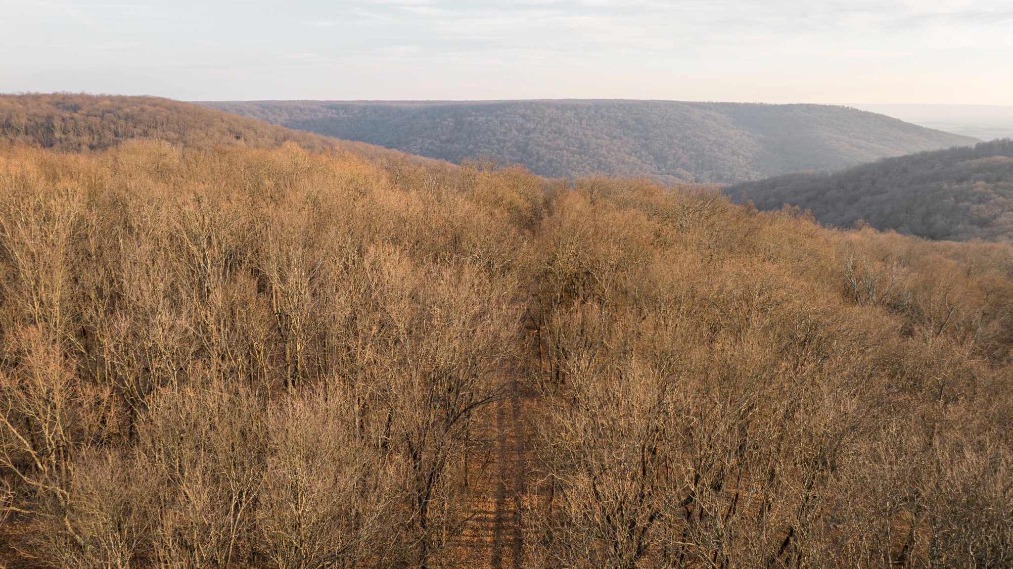 0 Deer Run Road Altamont, TN 37301 - Photo 34 of 47 Gallery Image 34