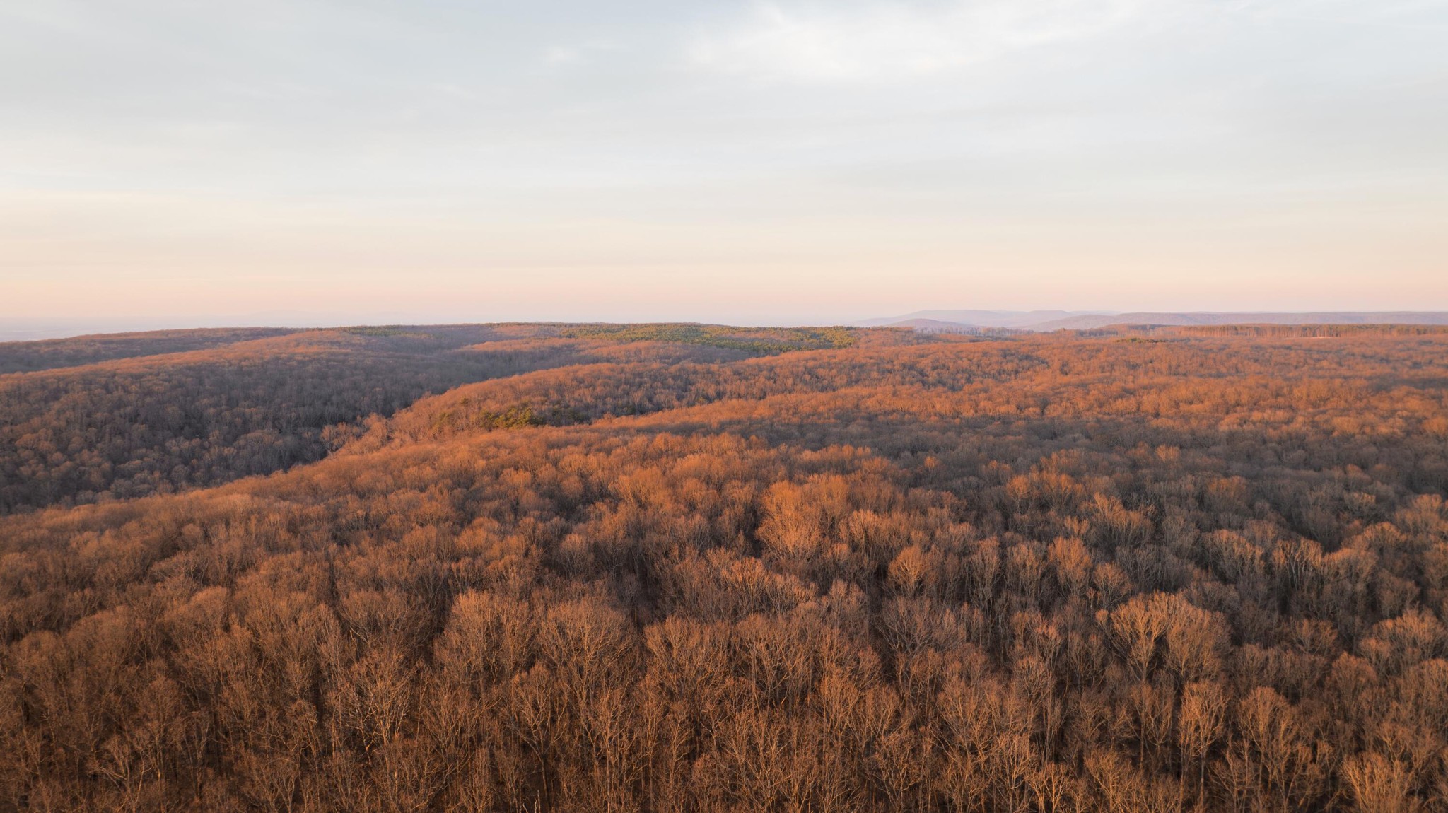 0 Deer Run Road Altamont, TN 37301 - Photo 39 of 47 Gallery Image 39