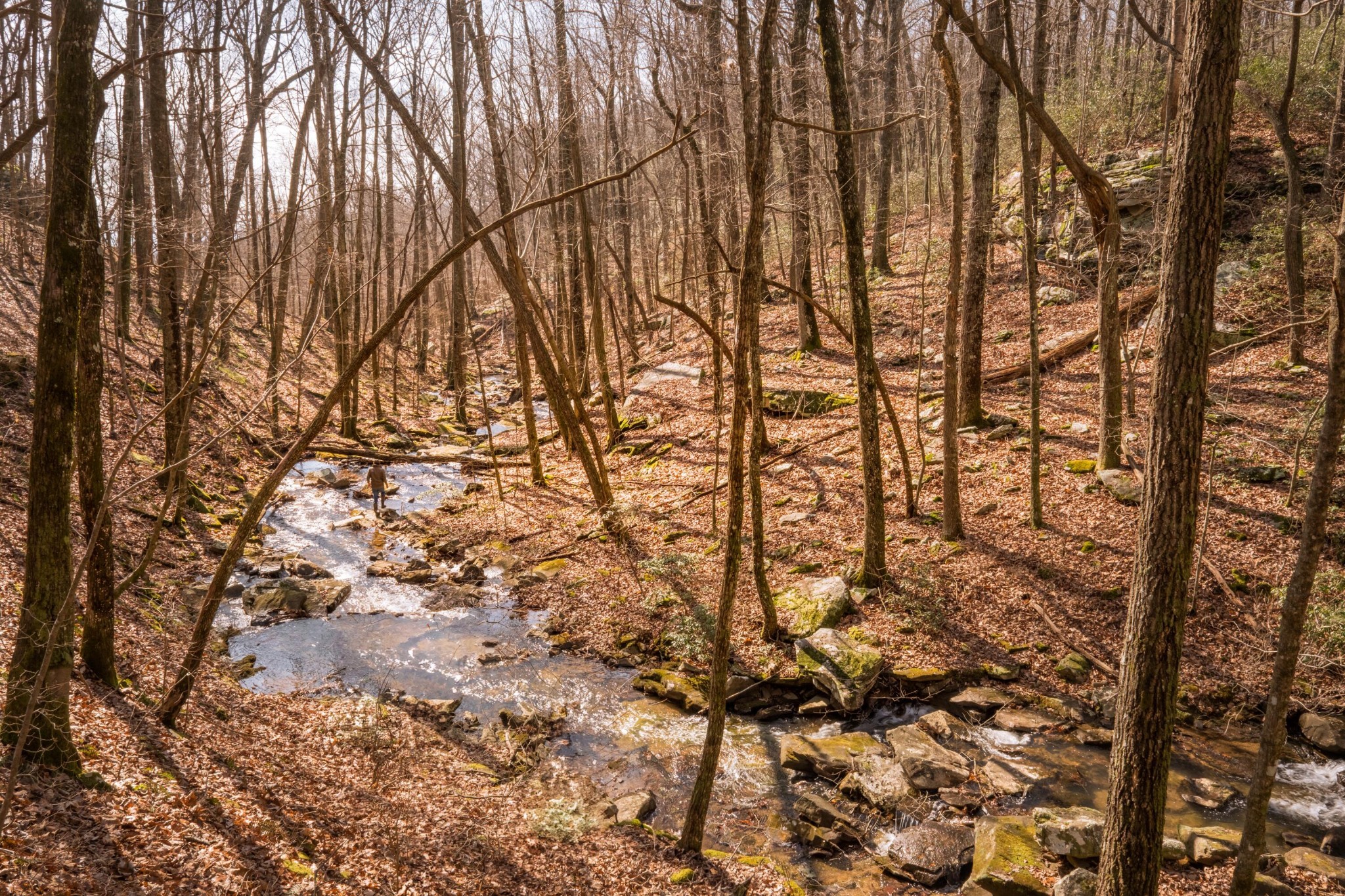 0 Deer Run Road Altamont, TN 37301 - Photo 4 of 47 Gallery Image 4