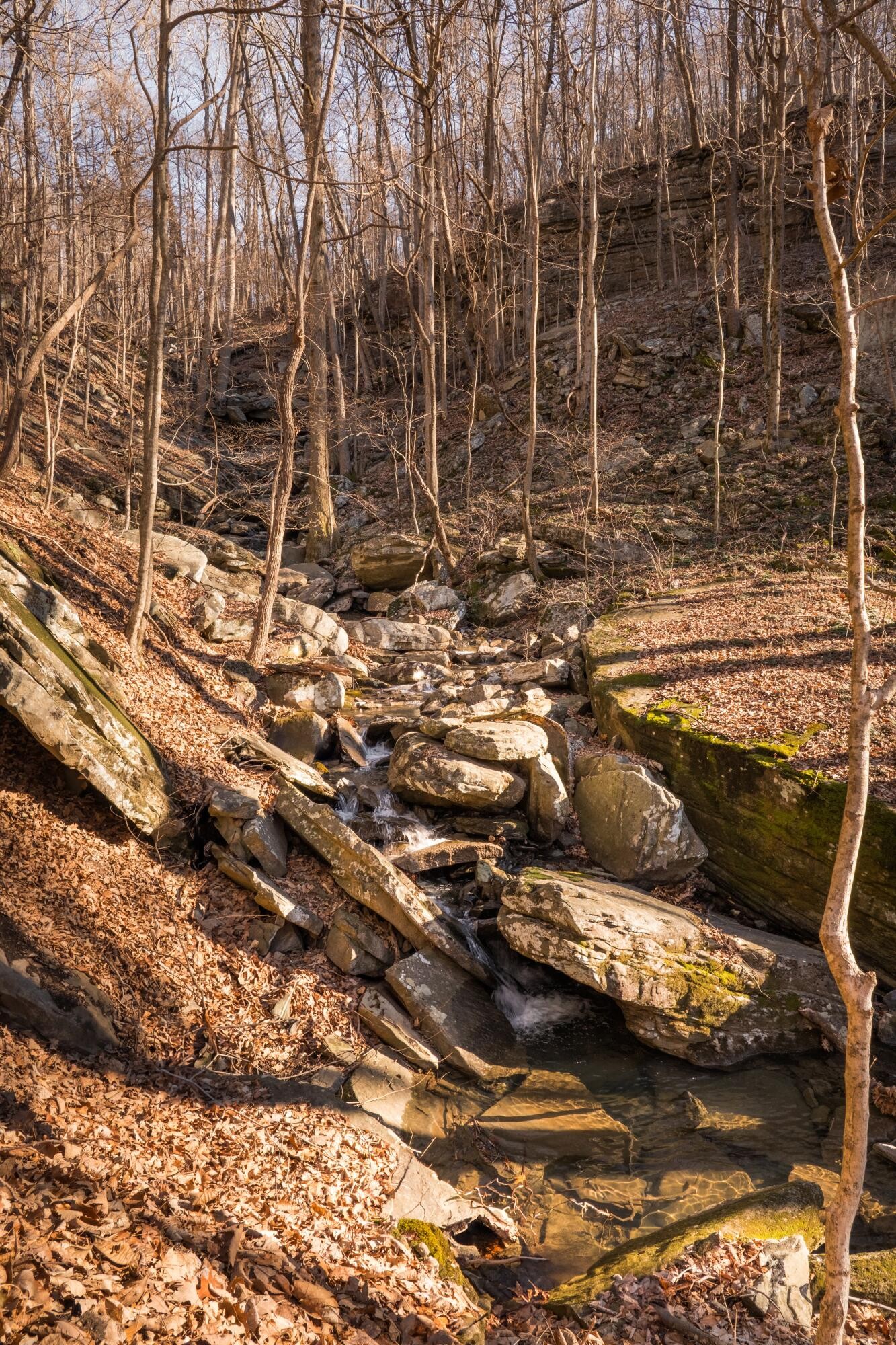 0 Deer Run Road Altamont, TN 37301 - Photo 42 of 47 Gallery Image 42