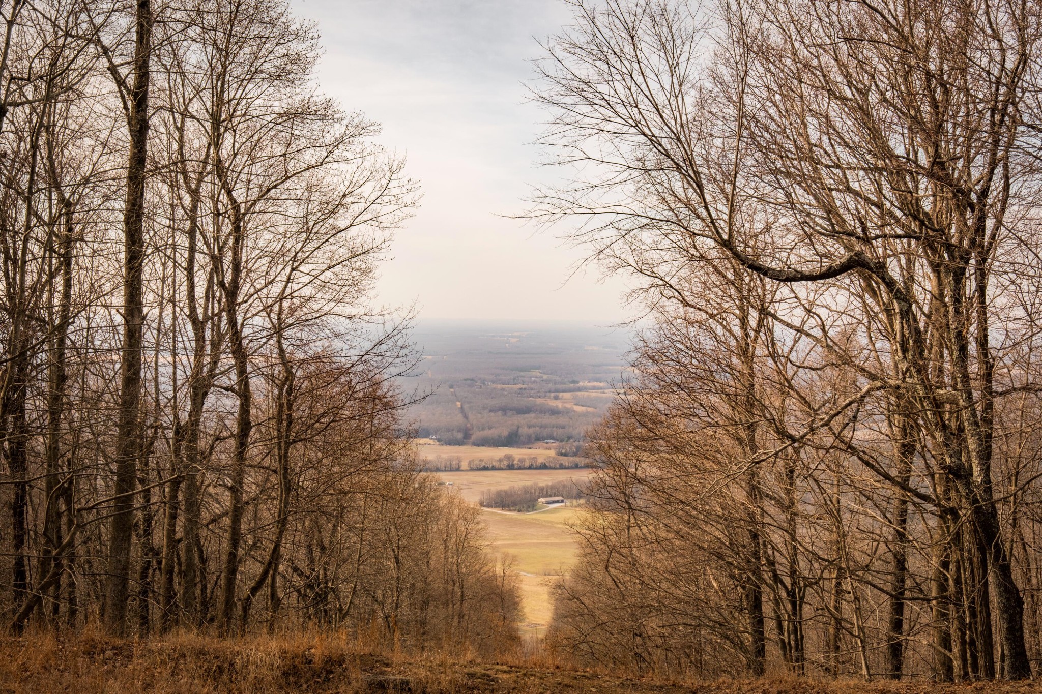 0 Deer Run Road Altamont, TN 37301 - Photo 5 of 47 Gallery Image 5