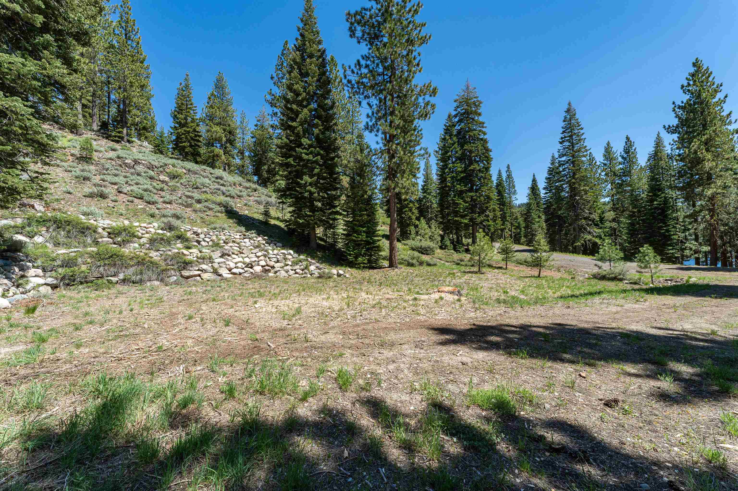 Henness Pass Road Sierra City, CA 96125 - Photo 17 of 28