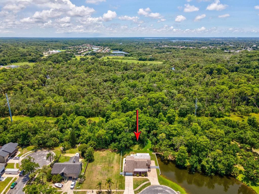 5904 Springrun Court Holiday, FL 34690 - Photo 47 of 53 a view of a lake with houses in the back