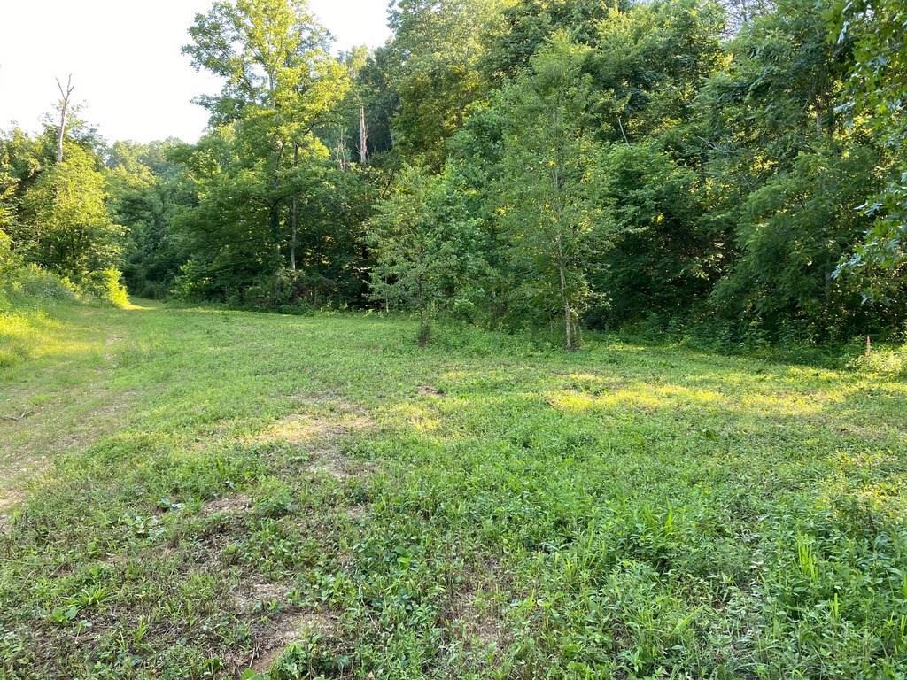 1910 West Froedge Dubree Road Summer Shade, KY 42166 - Photo 8 of 14 Gallery Image 8