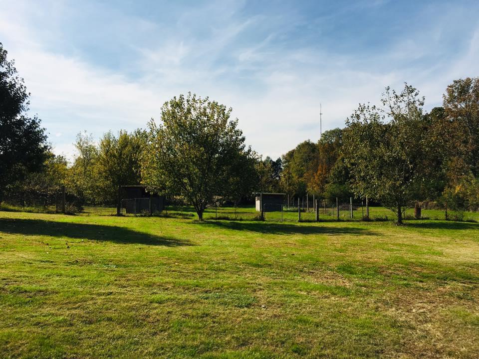 873 Prosser Road Leoma, TN 38468 - Photo 18 of 25 a view of a golf course with a lake