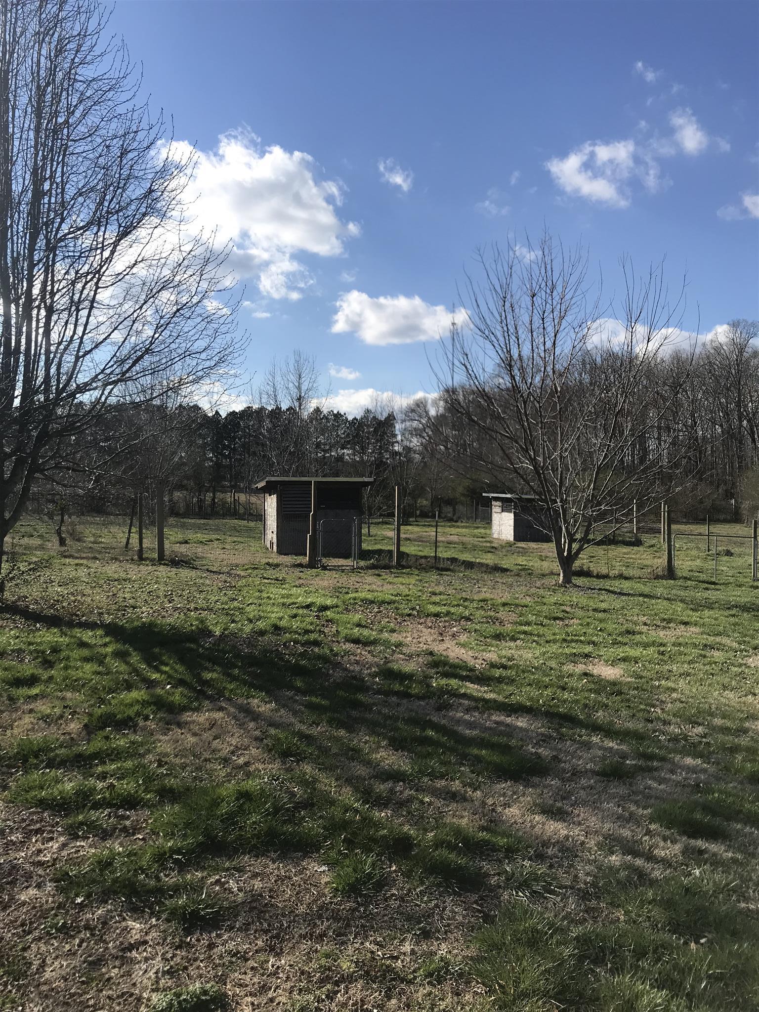 873 Prosser Road Leoma, TN 38468 - Photo 20 of 25 a view of a park with large trees