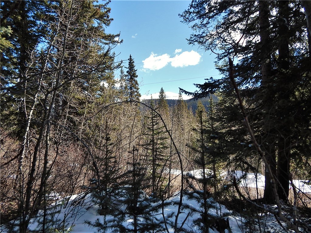 589 Mine Dump Road Alma, CO 80420 - Photo 2 of 26 Gallery Image 2