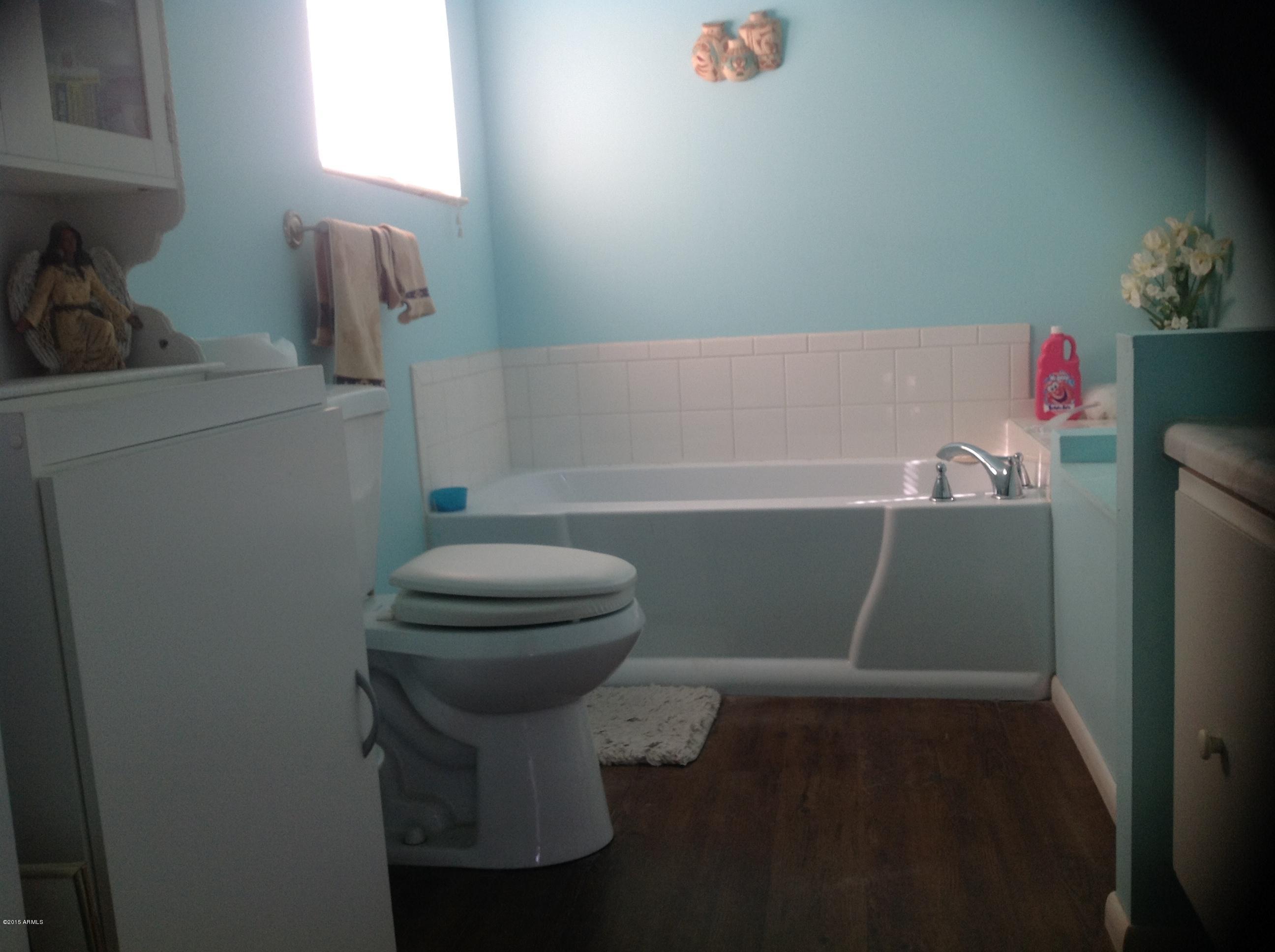 185 North Conestoga Road Apache Junction, AZ 85119 - Photo 14 of 24 Master Bath 2