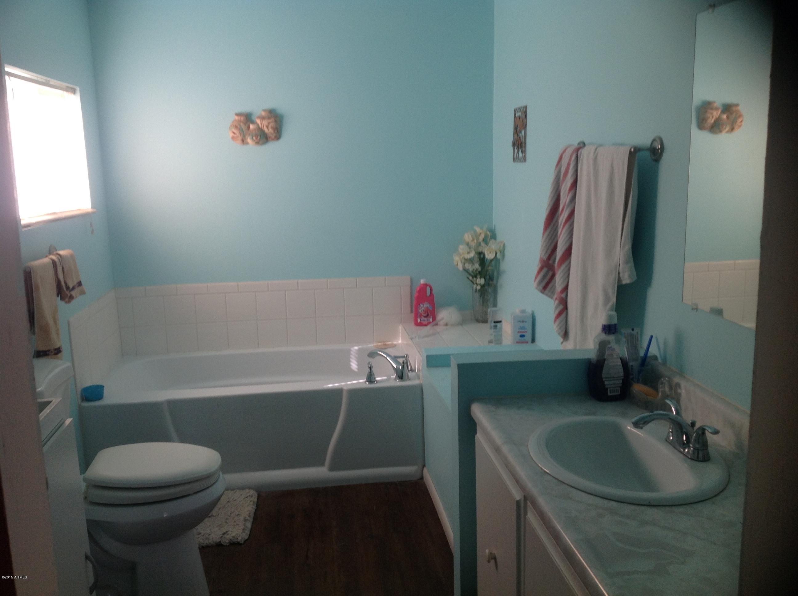 185 North Conestoga Road Apache Junction, AZ 85119 - Photo 15 of 24 Master bath 3