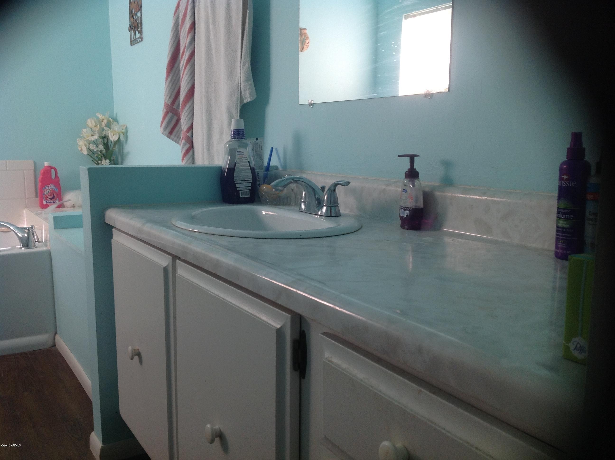 185 North Conestoga Road Apache Junction, AZ 85119 - Photo 16 of 24 Masterbath