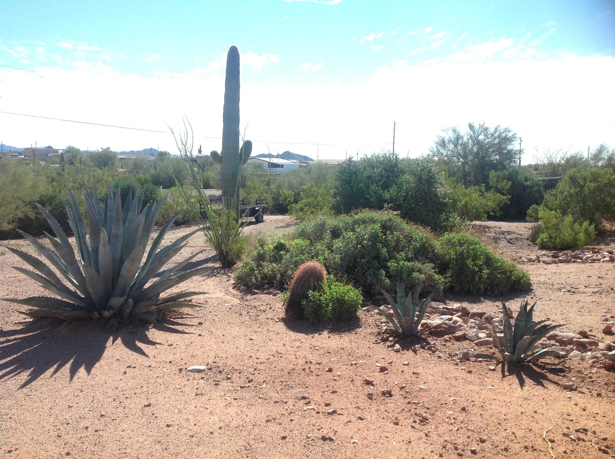 185 North Conestoga Road Apache Junction, AZ 85119 - Photo 18 of 24 Desert Landscape