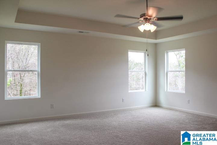 520 Rock Terrace Way Helena, AL 35080 - Photo 29 of 53