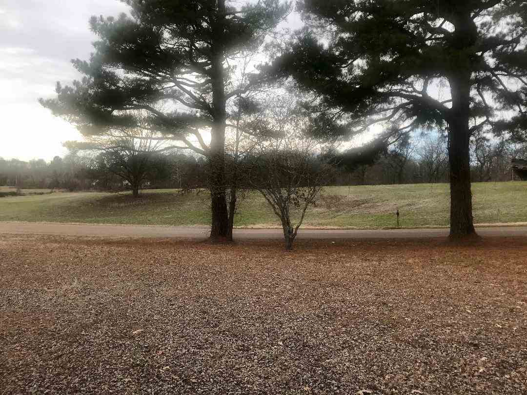 696 Pisgah Road Brighton, TN 38011 - Photo 16 of 25 Gallery Image 16