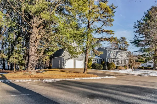 a view of road with with trees