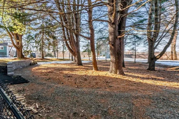 a view of road with trees