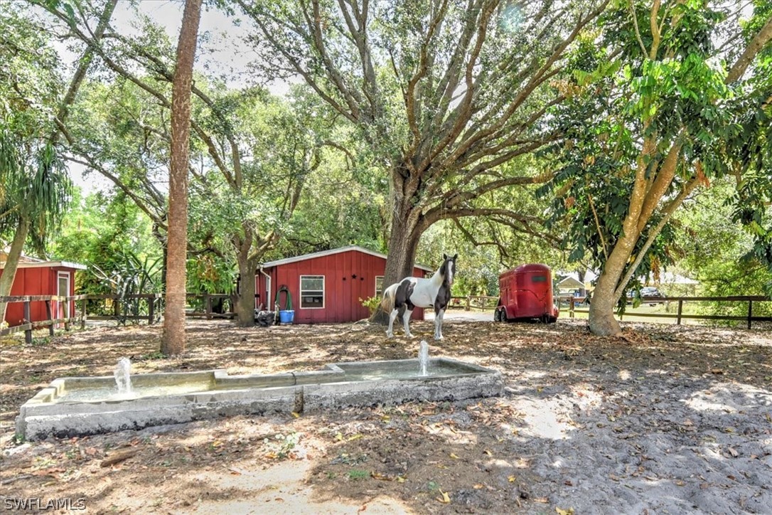 12271 Coyle Road Fort Myers, FL 33905 - Photo 5 of 33 a view of a backyard with large trees and wooden fence
