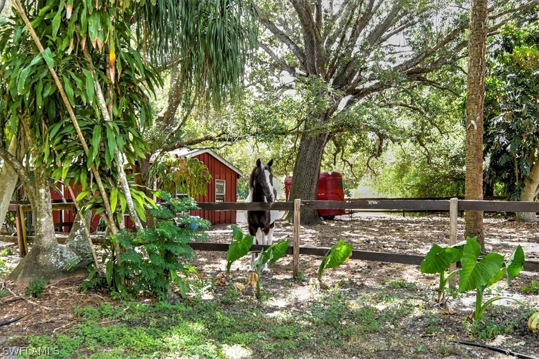 12271 Coyle Road Fort Myers, FL 33905 - Photo 9 of 33 a view of yard with tree s