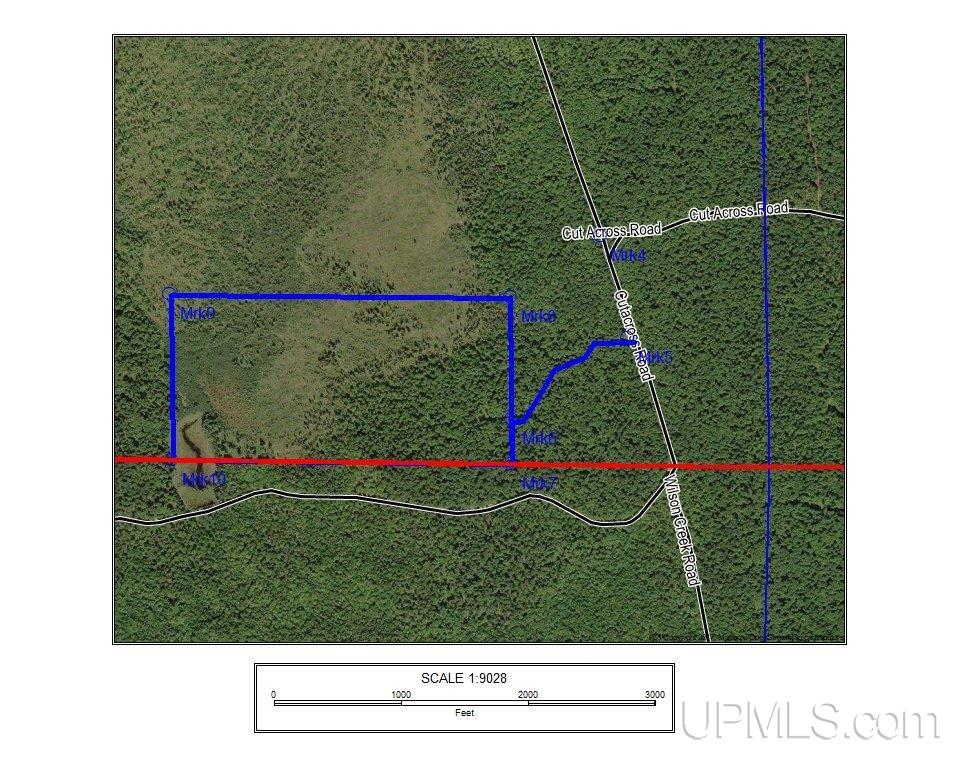 Tbd1 Cut Across Road Michigamme, MI 49861 - Photo 2 of 15