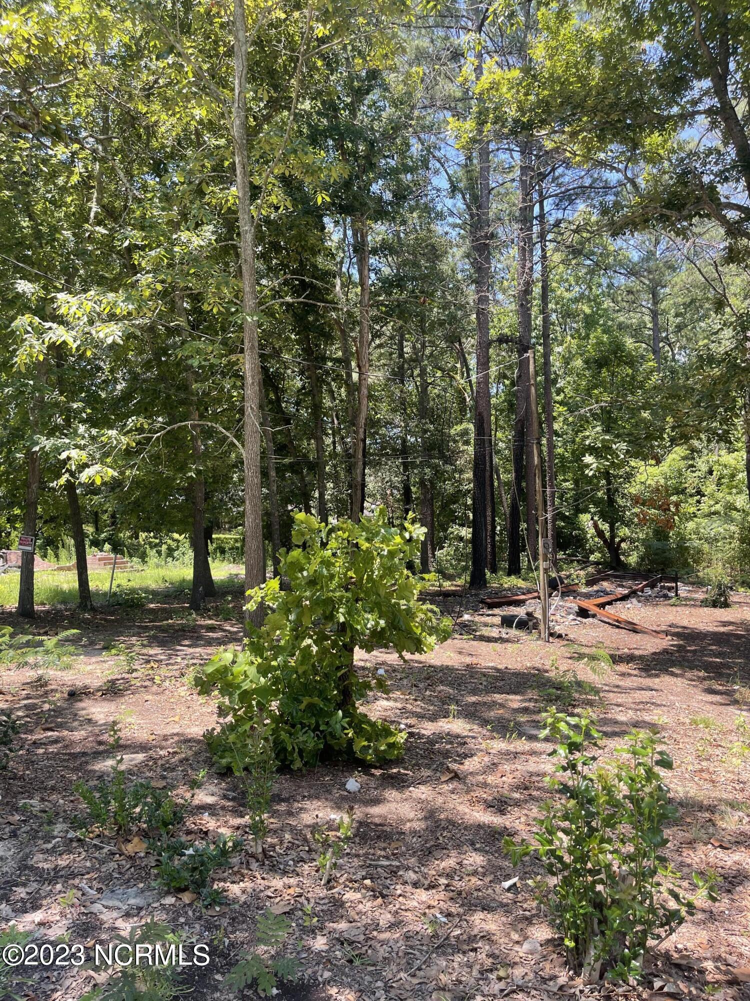 110 Morrow Street Rockingham, NC 28379 - Photo 3 of 3 1A4FA9AE-3FCB-4CCB-907B-E9249287801D