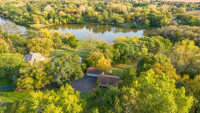 a view of a garden with plants