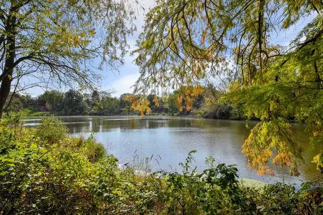 a view of a lake with a tree