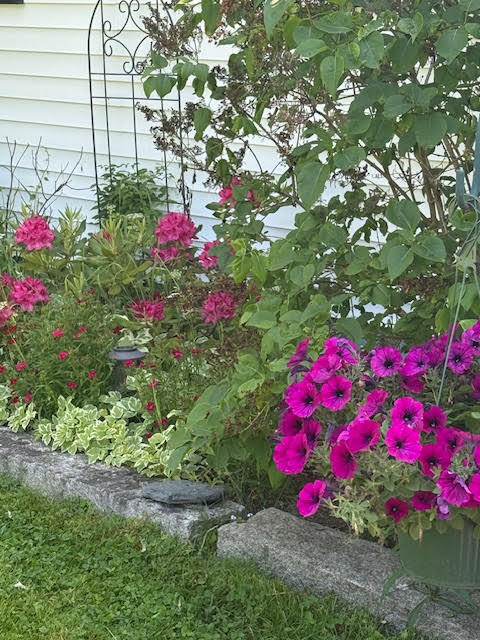 1041-1046 Cape Jellison Road Stockton Springs, ME 04981 - Photo 51 of 72 unnamed (89)