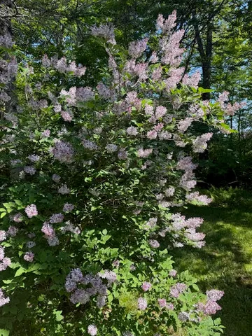 $449,900 | 1041 Cape Jellison Road, Stockton Springs, ME 04981